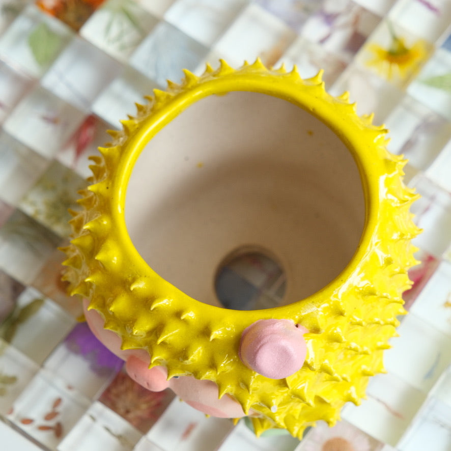 Durian Piggy Medium Sized Handmade Pot