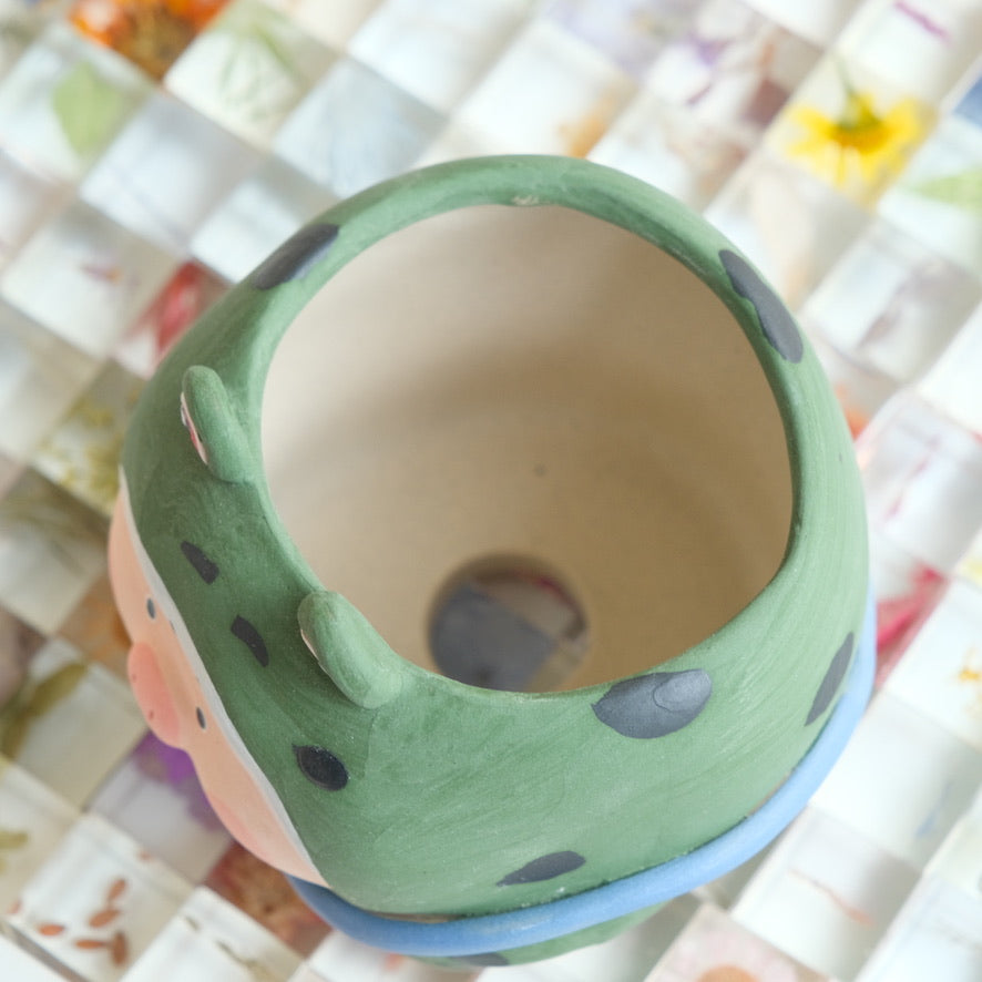 Frog Piggy Medium Sized Handmade Pot