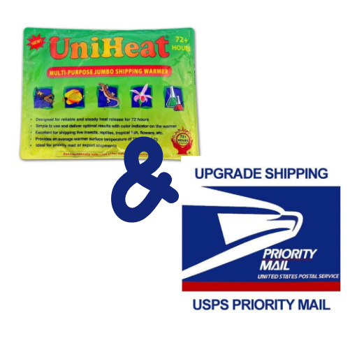 UniHeat 96 Hour Heat Pack + Priority shipping upgrade - Only add if temps get below freezing